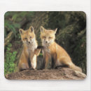 Search for front mouse mats Animal