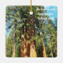 Search for kings christmas tree decorations Sequoia