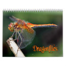 Search for dragonfly calendars Wings