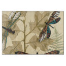 Search for dragonfly cookware Insects