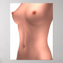 Search for torso posters Vertical