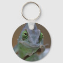 Search for terrarium key rings Chameleon