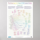 Search for careers posters Stem