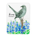 Search for bluebonnet magnets Wildflowers