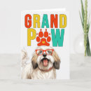 Search for tibetan terrier Pets