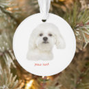 Search for bichon christmas tree decorations Cute