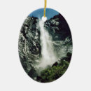 Search for veil christmas tree decorations Yosemite