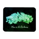 Search for glowing magnets Green