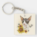 Search for cornish rex cat Animal