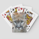 Search for megafauna Puma concolor