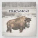 Search for yellowstone gifts Nature