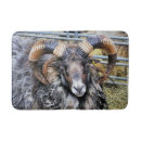 Search for sheep bath mats Animals