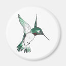 Search for ruby throated Cute