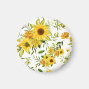 Search for sunflower magnets Nature