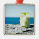 Search for dirt christmas tree decorations Horizontal