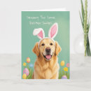 Search for golden retriever easter cards Bunny ears