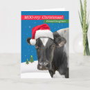 Search for funny cow christmas cards Snow