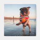 Search for beach ball magnets Cute