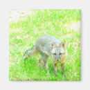 Search for merchbooth magnets Design