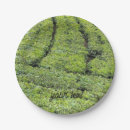Search for environment paper plates Leaves