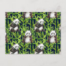 Search for bamboo leaf Bear