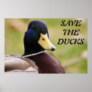 Search for save birds posters Wildlife