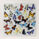 Search for realistic puzzles White