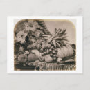 Search for fine object postcards 19th