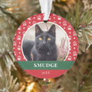 Search for green christmas tree decorations Dog