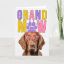 Search for irish setter cards Setters