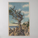 Search for monterey posters Old