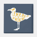Search for seagull magnets Shore