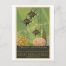 Search for vintage great barrier reef postcards Fish