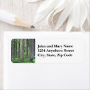 Search for fir return address labels Forest