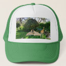 Search for giraffe hats African