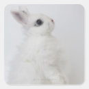 Search for wooly stickers Cute