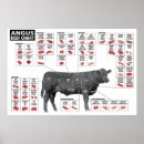 Search for beef cut posters Butcher