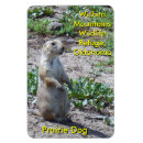 Search for refuges magnets Prairie