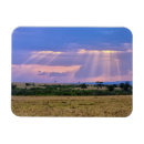 Search for sun set magnets Nature