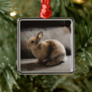 Search for bunny rabbit christmas tree decorations Hare