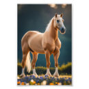 Search for horse memorial gifts Flowers