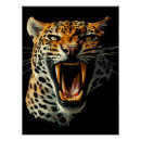 Search for leopard posters Jaguar