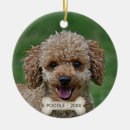 Search for poodle christmas tree decorations Animals