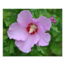 Search for sharon art Purple