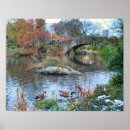 Search for central park posters Skyline