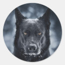 Search for german shepherd gear stickers Animals