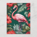 Search for flamingo flower postcards Bird