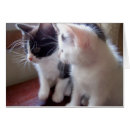 Search for friend postage Mail