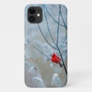 Search for cardinals iphone cases Branch