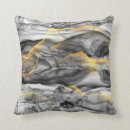 Search for gold silver cushions Grey